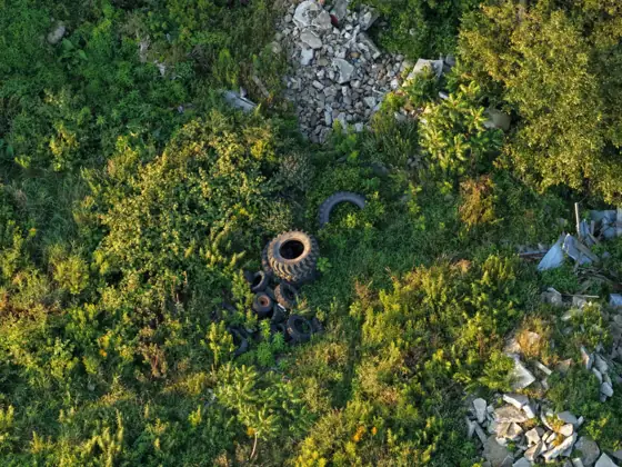 Aerial photo of a pile of discarded tires in tall weeds